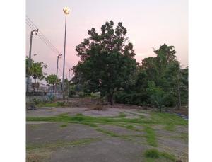For RentLandRathburana, Suksawat : For inquiries, call 081-616-5636. Land for rent next to Industrial Ring Road 1, Suksawat area, area 350 square wah, Bang Phueng, Phra Pradaeng, near restaurants. Baan Suksawat, River Fish, near Thai Watsadu, Suksawat Branch