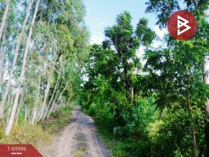 ขายที่ดินสุรินทร์ : ขายที่ดินแปลงเปล่า เนื้อที่ 15 ไร่ ศีขรภูมิ สุรินทร์