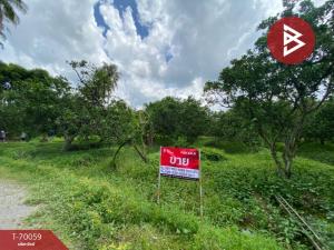 For SaleLandSamut Songkhram : Land for sale, area 5 rai 2 ngan, Bang Khonthi, Samut Songkhram.