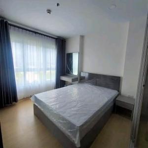 For RentCondoSamut Prakan,Samrong : For rent, Supalai Veranda Sukhumvit 117, nice room, 11th floor.