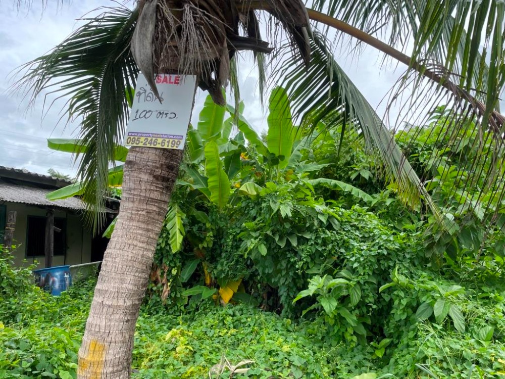 For SaleLandSriracha Laem Chabang Ban Bueng : Land for sale 100 sq m. in front of Golden Town Village. Wang Hin-Tang On In Soi Santisuk, Wang Hin Soi 15