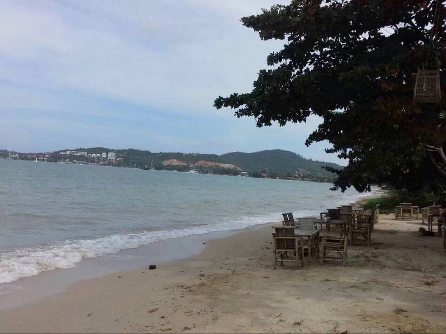 ขายที่ดินสมุย สุราษฎร์ธานี : ขายที่ดินเกาะสมุย แหลมไม้แก่น ติดชายทะเล
