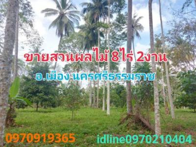 For SaleLandNakhon Si Thammarat : Land for sale, mixed fruit orchard, 8 rai 2 ngan, Mueang District, Nakhon Si Thammarat.