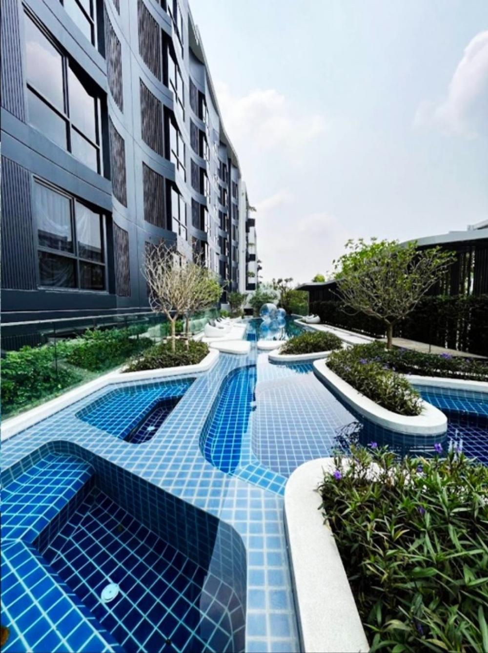 For RentCondoBangna, Bearing, Lasalle : คอนโดใหม่ให้เช่า Blue Condo สุขุมวิท 105 วิวสระว่ายน้ำ สวนส่วนกลางขนานตัวอาคาร ห้องอยู่ชั้น 3 ปากซอยใกล้ BTS แบริ่ง และท้ายซอยใกล้ MRT ศรีลาซาล