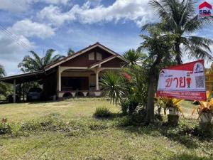 For SaleHouseKoh Samui, Surat Thani : L080039 Single house for sale With palm plantation harvested 4-0-51.00 rai, Tha Chang, Surat Thani