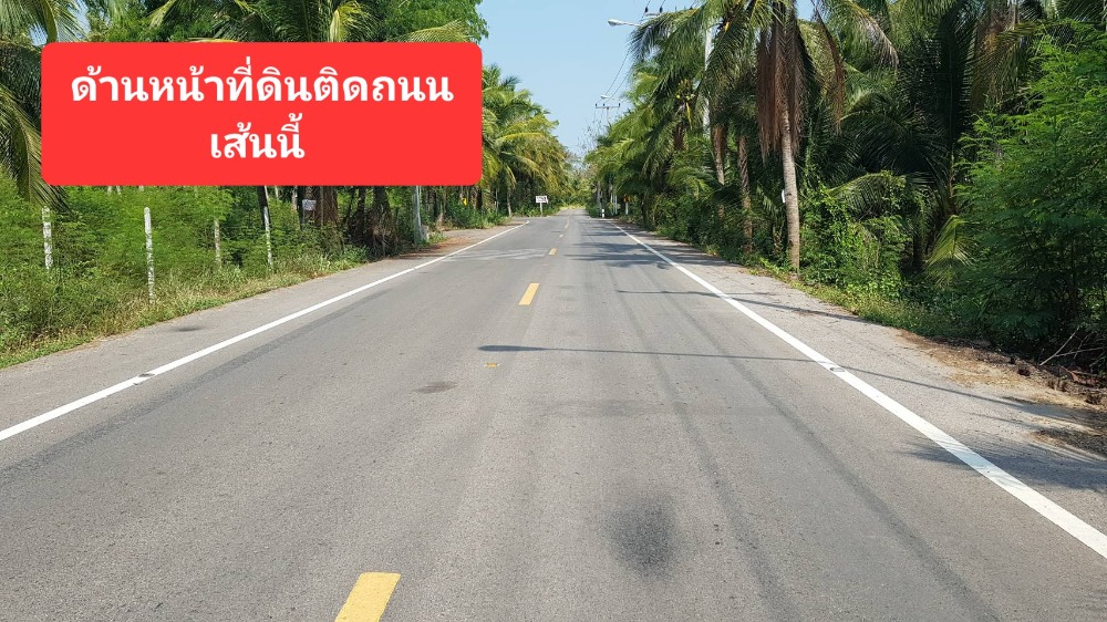 For SaleLandSamut Songkhram : 🏝️ Selling a perfume coconut farm 🏝️ The owner sells it himself 🏝️ The front is next to the road, the back is next to Lampadong 🏝️ It's beautiful and square.