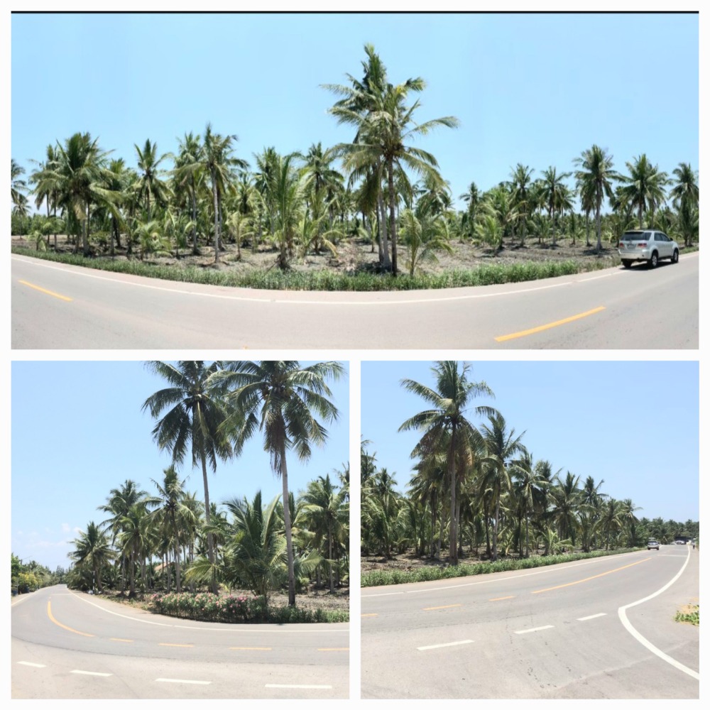 For SaleLandSamut Songkhram : 🔥For sale next to the road on 2 sides, next to a small canal, clear water, cheap price🔥
