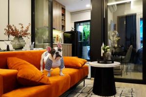 ขายคอนโดลาดพร้าว เซ็นทรัลลาดพร้าว : Metris Ladprao - Pet Friendly บนทำเลศักยภาพ 5 แยกลาดพร้าว