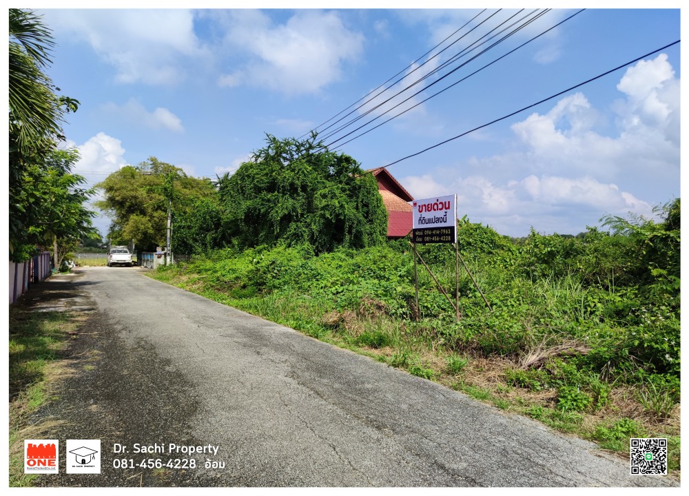 ขายที่ดินลำพูน : ขายที่ดินแปลงสวย ตัวเมืองลำพูน เหมาะปลูกบ้าน 160.8 ตร.ว. ใกล้วัดจามเทวี, รพ.ลำพูน ถนนซอยกว้าง อ.เมือง จ.ลำพูน