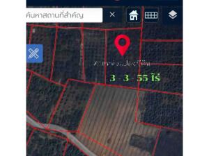 For SaleLandPhayao : Empty land with agricultural garden, land size 3-3-55.00 rai, Bon Rom Yen, Chiang Kham, Phayao.