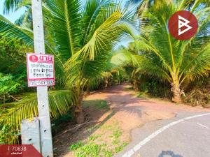 For SaleLandSamut Songkhram : Land for sale, area 2 rai 1 ngan 65 square wah, Bang Khonthi, Samut Songkhram.