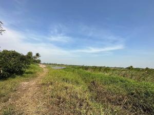 For SaleLandKasetsart, Ratchayothin : Empty land for sale, area 4-3-10 rai, Phra Nakhon Si Ayutthaya Province.