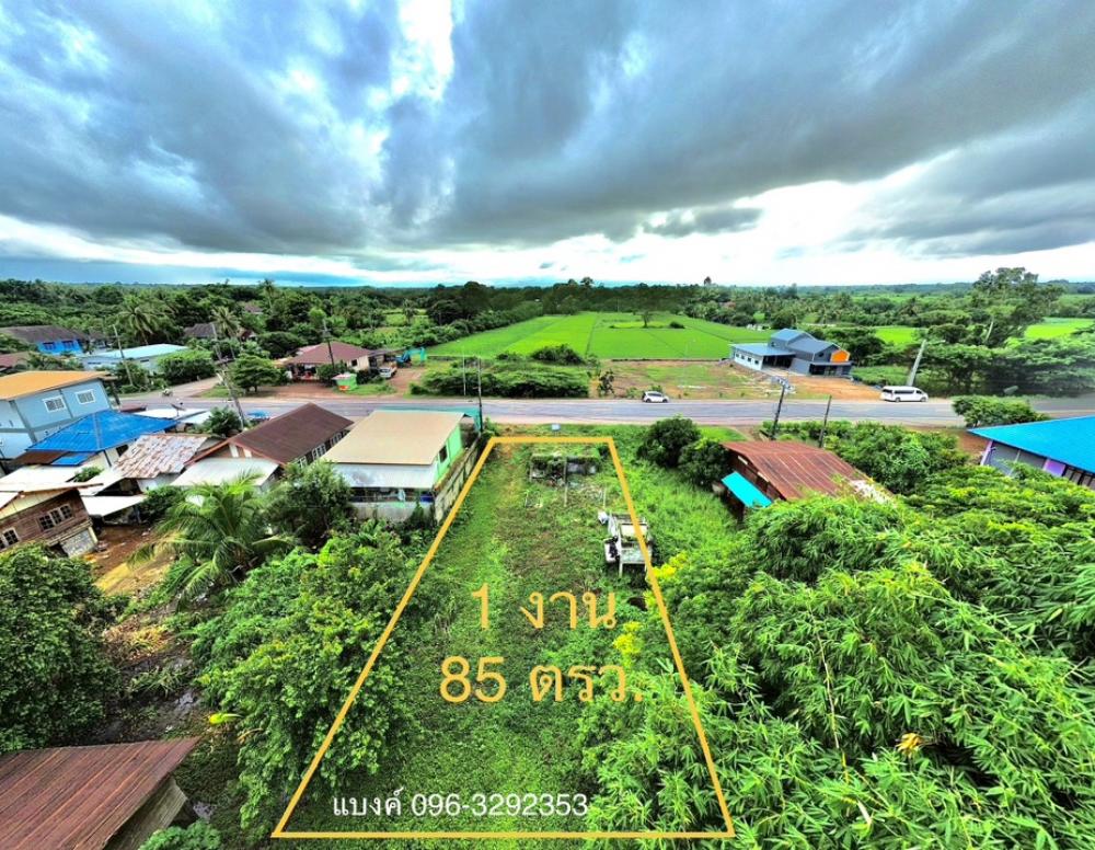 ขายที่ดินหนองคาย : ขายที่ดินติดถนน บ้านถ้ามะเฟือง ตำบลโพนสา