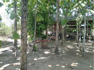 ขายที่ดินกำแพงเพชร : ที่ดินพร้อมสิ่งปลูกสร้าง