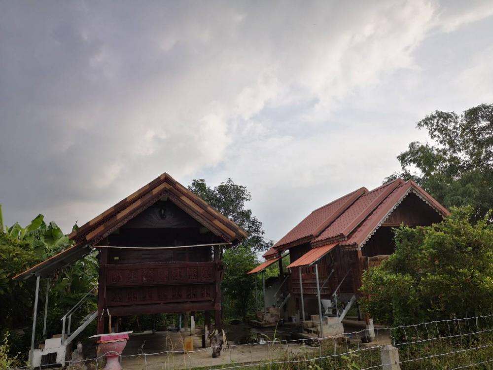 ขายบ้านราชบุรี : ขายบ้านสวนเรือนไทย พร้อมที่ดิน 3 งาน 62 ตร.ว. ราคาถูกมากๆๆๆ 1.5 ล้านเท่านั้น