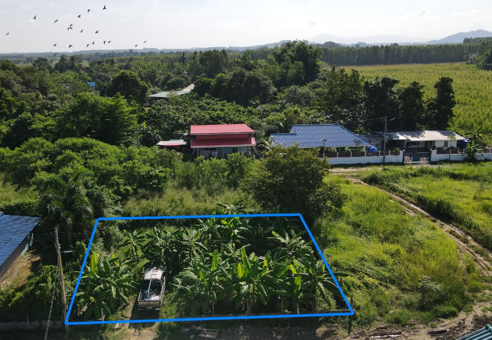 For SaleLandSriracha Laem Chabang Ban Bueng : Land for sale, 80 sq m, with title deed, Nong Chak Subdistrict, Ban Bueng District, owner sells it himself, filled in for 7 years, full area, not lonely.