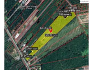 For SaleLandKoh Samui, Surat Thani : Empty land for sale urgently