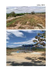 For SaleLandLoei : Land with garden in Loei Province, suitable for investment. Chiang Khan District