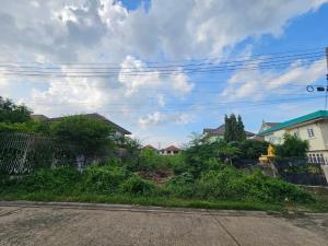 For SaleLandPathum Thani,Rangsit, Thammasat : Land for sale in the Supalai Buri Khlong Si project, area 87.2 sq m., beautiful rectangular plot.