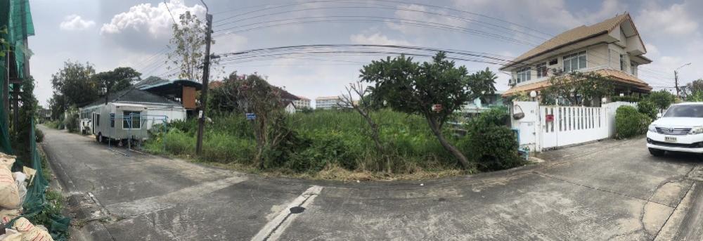 For SaleLandRama5, Ratchapruek, Bangkruai : Land for sale, good location, Soi Tiwanon 41, Intersection 5, area 199 square meters, 350 meters into the alley, Nonthaburi Province.