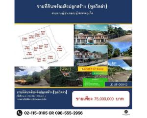ขายที่ดินภูเก็ต : สอบถามโทร 098-555-2956 ขายที่ดินตั้งอยู่บนเนินเขา ใกล้แหล่งท่องเที่ยว น้ำตก ร.6 ตำบลกะทู้ อำเภอกะทู้ จังหวัดภูเก็ต