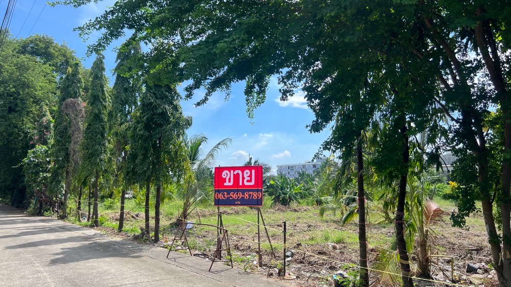 ขายที่ดินอ่อนนุช อุดมสุข : ขายที่ดิน 2 แปลง สุขุมวิท 93 ขนาด 410 ตารางวา (แบ่งซื้อ 1 แปลงหรือรวม 2 แปลงได้)