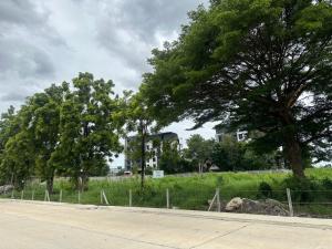 For SaleLandYothinpattana,CDC : Beautiful land for sale, next to Ramindra Expressway, 1 rai 67 sq m.
