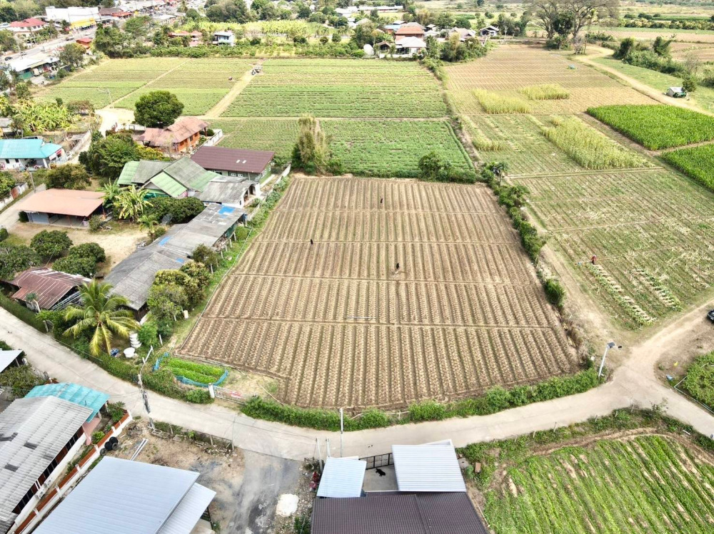 For SaleLandChiang Mai : Land for sale in Mae Taeng, Chiang Mai Province, 373 square wah, 11,000 baht per square wah.