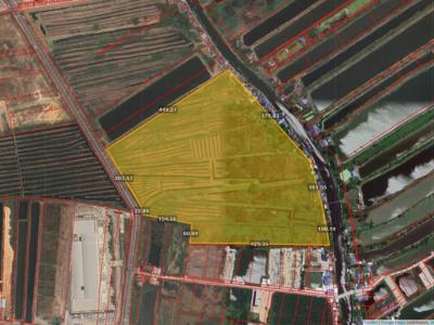 For SaleLandLadkrabang, Suwannaphum Airport : Empty land for sale next to the road near Suvarnabhumi Airport, 141 rai 12 ngan 77 sq m.