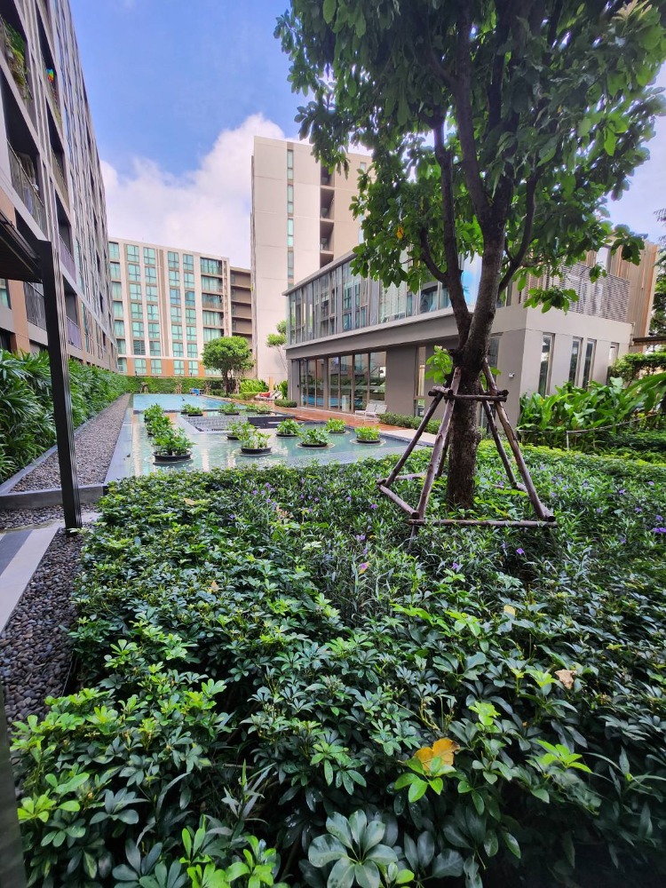 ขายคอนโดนวมินทร์ รามอินทรา : คอนโดหรู รามอินทรา นวมินทร์
