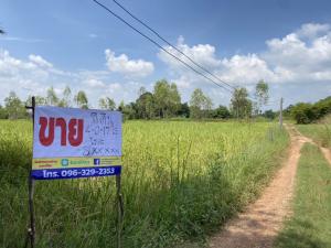 ขายที่ดินหนองคาย : ขายที่ดินบ้านเบิด ตำบลวัดธาตุ ใกล้ถนนบายพาสตัดใหม่