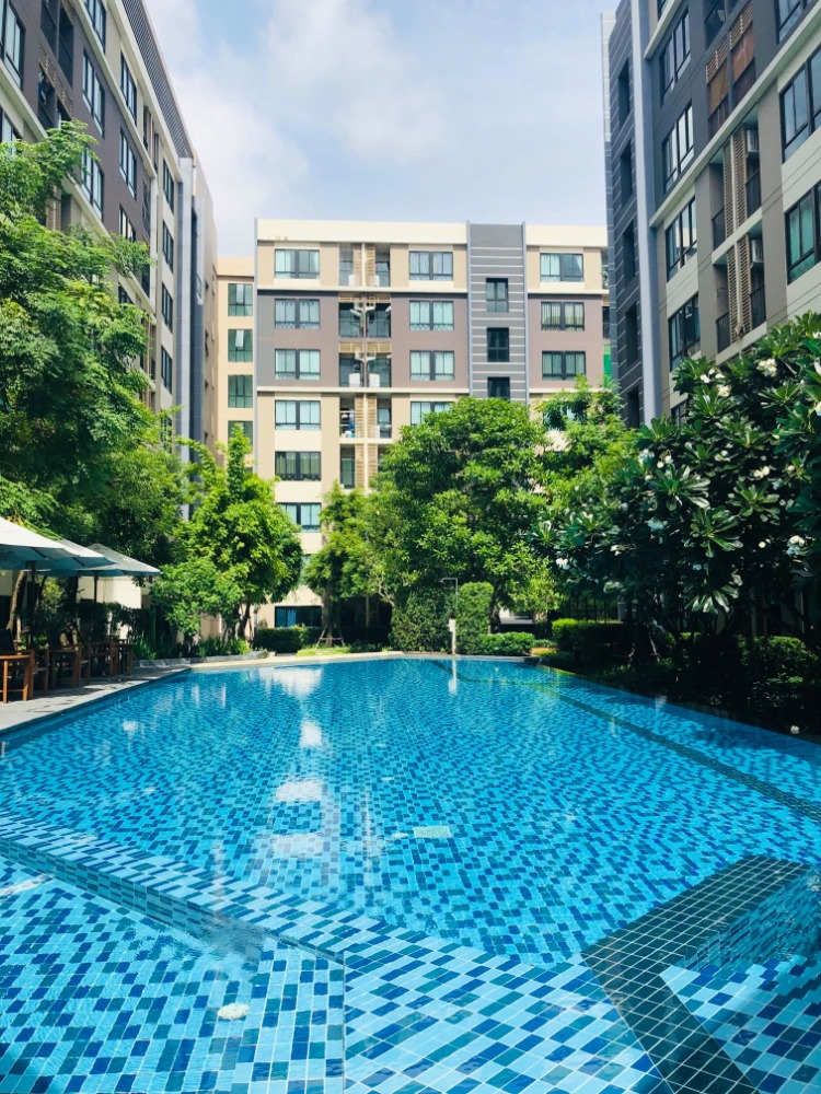 ขายคอนโดพุทธมณฑล ศาลายา : ขายไอคอนโด ศาลายา 2 เดอะแคมปัส ( iCondo Salaya 2 The campus ) 1 ห้องนอน 1 ห้องน้ำ เนื้อที่ 35.98 ตารางเมตร ชั้น 1 อาคาร A ใกล้มหาวิทยาลัยมหิดล ซอยบ้านตั้งสิน ถนนบรมราชชนนี พุทธมณฑลสาย 5 ตำบลศาลายา อำเภอพุทธมณฑล จ.นครปฐม