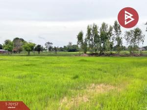 ขายที่ดินมหาสารคาม : ขายด่วนที่ดินที่นา เนื้อที่ 15 ไร่ วาปีปทุม มหาสารคาม