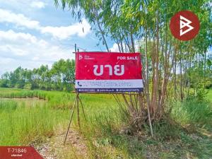 For SaleLandRoi Et : Rice land for sale, area 12 rai 1 ngan 20 square wah, Thung Khao Luang, Roi Et