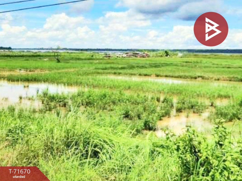 For SaleLandBueng Kan : Urgent sale, beautiful plot of land, area 1 rai 3 ngan, Bueng Khong Long, Bueng Kan.