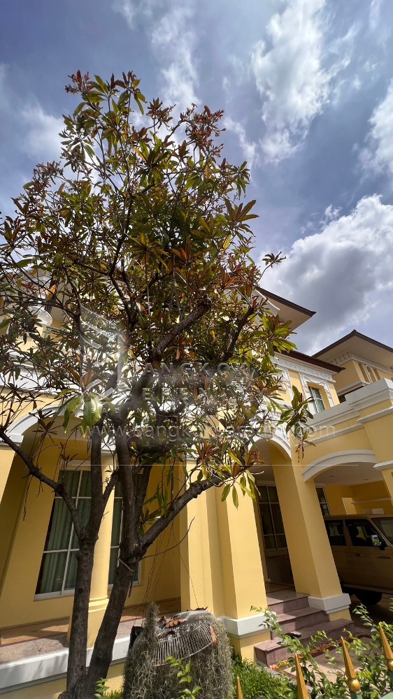For RentTownhouseRama3 (Riverside),Satupadit : House for rent at Rama 3