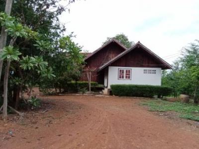 For SaleLandKanchanaburi : Land for sale next to Srinakarin Dam. In front, next to road number 4041, there is a large house that can accommodate 30 people, water and electricity ready, 75 rai of land.