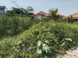 For SaleLandPathum Thani,Rangsit, Thammasat : Small plot of land for sale For building a residence or renting a factory near a community near the BTS.
