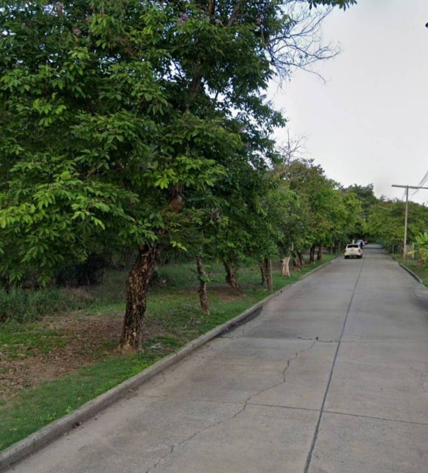 For SaleLandPathum Thani,Rangsit, Thammasat : Empty land for sale, divided, Rangsit Khlong 3, starting at 65 sq m, 1.1 million (whole plot 620 sq m, 4.5 million)