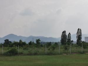 For SaleLandRatchaburi : Pak Tho land, 10 rai, cheap price