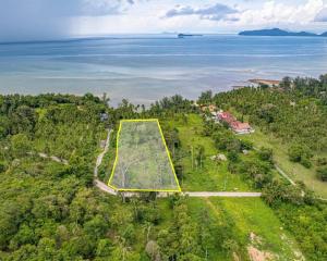 For SaleLandKoh Samui, Surat Thani : * Presenting land for sale on Koh Samui, area 4 - 2 - 73 rai (1,873 sq m), price 22 million/rai, total sale price 103,015,000.- BahtDetails- Beautiful plot of land. Good location on Koh Samui - front next to road, width 46.7 meters - back next to beach, w