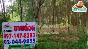 For SaleLandUthai Thani : Land with rubber plantation, Khok Khwai Subdistrict, Ban Rai District, Uthai Thani, area 5 rai 72 square wah.