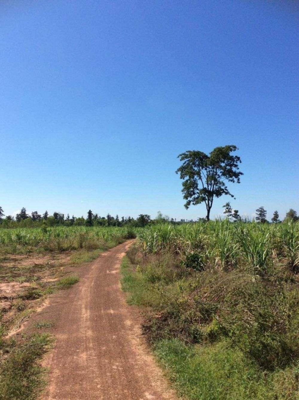 For SaleLandNong Bua Lam Phu : Vacant land for sale, 47 rai 45 square wah, Na Kham Hai Subdistrict, Mueang Nong Bua Lamphu.