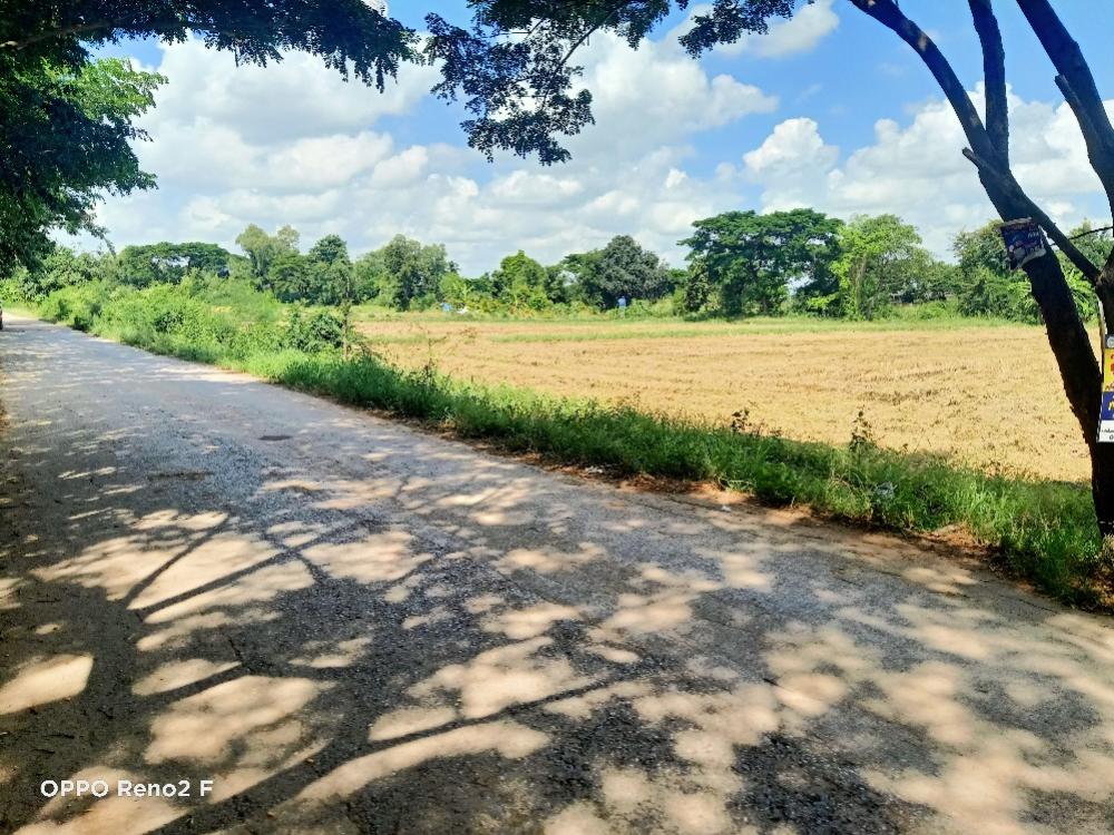 For SaleLandKhon Kaen : Land for sale at a reduced price, Baan Aew Mong, Mueang District, Khon Kaen, 1 rai 3 ngan 49 sq m.