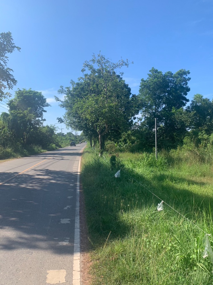 For SaleLandPrachin Buri : For sale/rent, land size almost 6 rai, next to a rural highway, only 2 kilometers from Road 304.