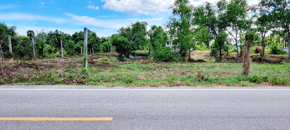 For SaleLandSamut Songkhram : Land for sale next to water, good location, nice place to live, owner is selling it himself.