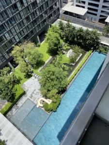 For SaleCondoWitthayu, Chidlom, Langsuan, Ploenchit : Urgent ‼️ Price lower than market: Noble Ploenchit (Building A, pool view)