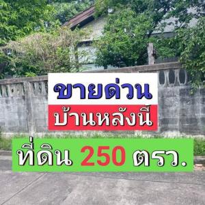 ขายที่ดินเกษตร นวมินทร์ ลาดปลาเค้า : ขายบ้านพร้อมที่ดินแนวรถไฟฟ้าลาดพร้าวเลียบทางด่วนรามอินทรา  หมู่บ้านออคิดวิลล่า ถนนประดิษฐ์มนูธรรมซอย 10คลองเจ้าคุณสิงห์