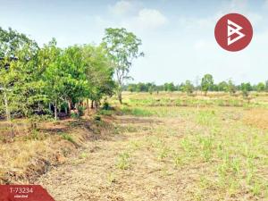 For SaleLandChaiyaphum : Land for sale, area 7 rai 2 ngan, Phu Khieo, Chaiyaphum.