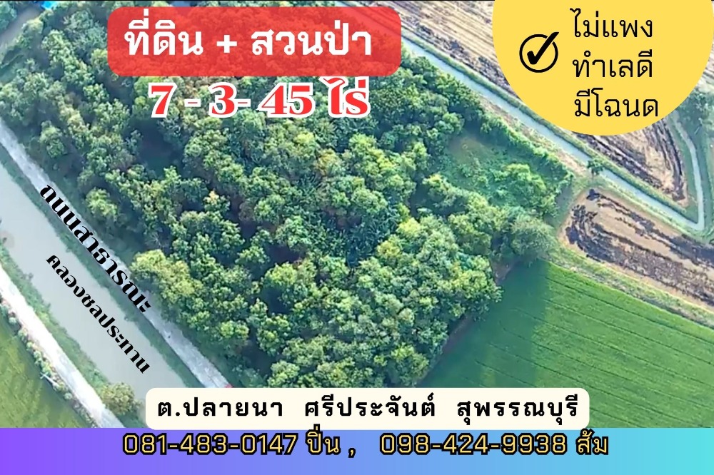 For SaleLandSuphan Buri : 💥More than worth it, land with forest garden, 7 rai 3 ngan over Ban Rang Hang Ma, Plai Na Subdistrict, Si Prachan District, Suphan Buri Province, next to the road, next to a public canal, has water all year round.